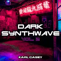 Karl Casey — The System Has Failed — обложка